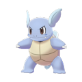Wartortle