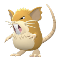 Raticate
