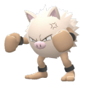 Primeape