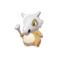 Cubone