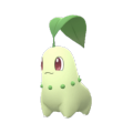 Chikorita