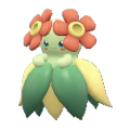 Bellossom