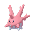 Corsola