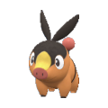 Tepig