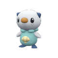 Oshawott