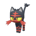 Litten