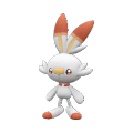 Scorbunny
